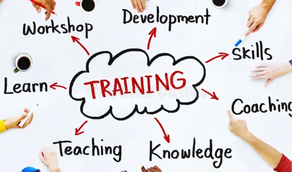 Training and Workshops